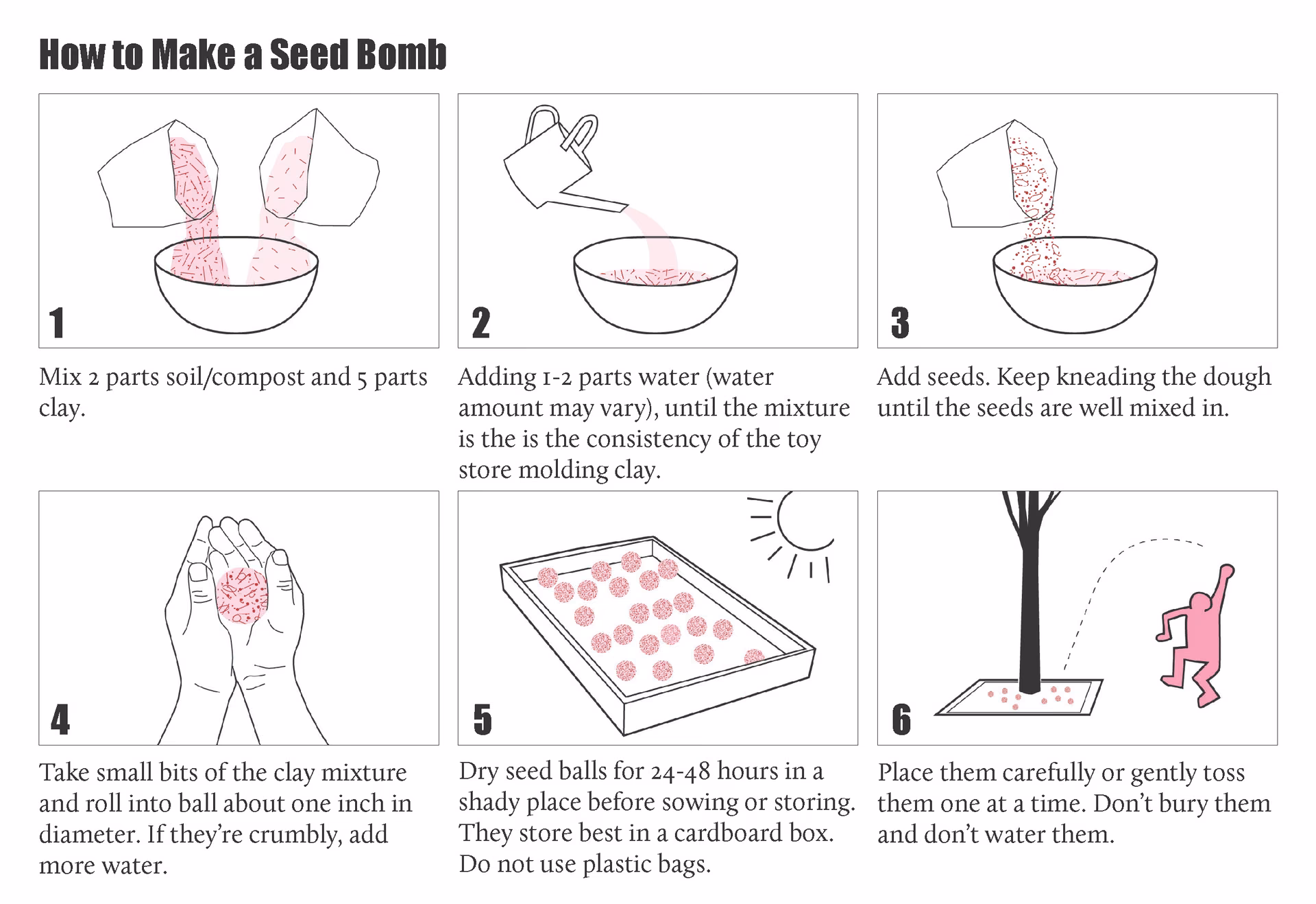 How to make a seed bomb, in six illustrated steps